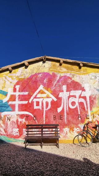 德令哈+生命樹取景地+可魯克湖+託素湖【真純玩|無購物】
