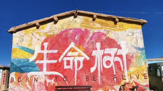 德令哈+生命樹取景地+可魯克湖+託素湖【真純玩|無購物】