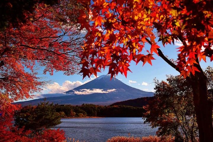 【9人團】箱根富士山一日遊！神社/奧萊/山中湖（可選忍者船）