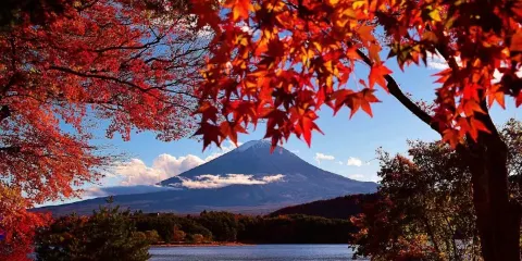 【9人團】箱根富士山一日遊!神社/奧萊/山中湖(可選忍者船)