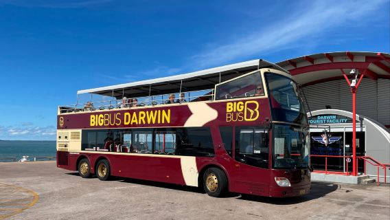 BigBus pariwisata di Darwin, Australia (menemui pantai matahari terbenam + perjalanan fleksibel + semangat tropis Australia Utara)
