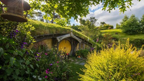 Auckland: Private Hobbiton™ Movie Set Tours and Waitomo Caves