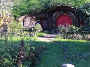 Hobbiton and Spellbound Tour (Glowworm Cave at Waitomo) 