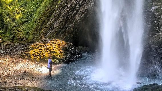 PortlandTours