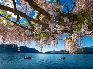 Romantic Tour in Lake Como
