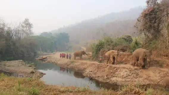 泰國清邁 Kerchor elephant eco park 半日遊【Kerchor】