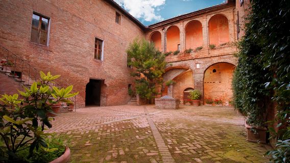 MontalcinoTours