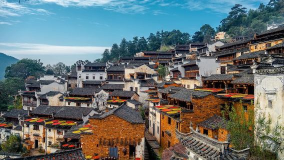 China international travel service | Wuyuan Huangling + Likeng 1-day tour [Jingdezhen departure + private car]
