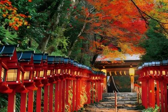 Arashiyama + Kifune Shrine + Sanzenin one-day tour in Kyoto, Japan