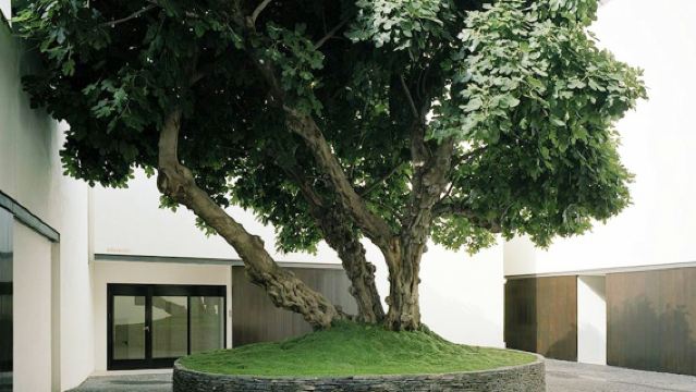 Museo Picasso Málaga: Visita guiada