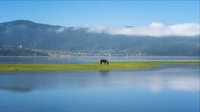 Departing from Lijiang: 1-day tour to Shangri-La + Tiger Leaping Gorge + Dukezong + Napahai (Yila Grassland)
