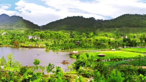 1-day tour of Huzhou-Anji, Zhejiang: Customizable attractions | self-guided tour private charter | Multilingual guide C