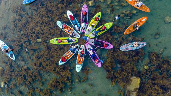 Ruifang Elephant Trunk Rock | SUP · Canoe · Snorkeling · Photography | Island Boat Records