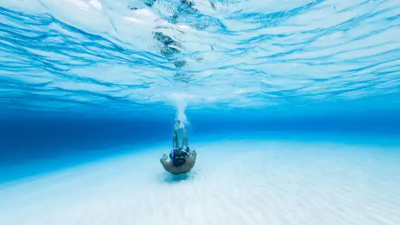 Palancar Reef & El Cielo Bay: Snorkeling Tour from Cozumel + Buffet Lunch