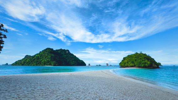 Phang NgaTravel Services