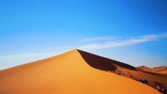 阿拉善：額濟納旗胡楊林+居延海景區+定制/導遊/貴賓包車