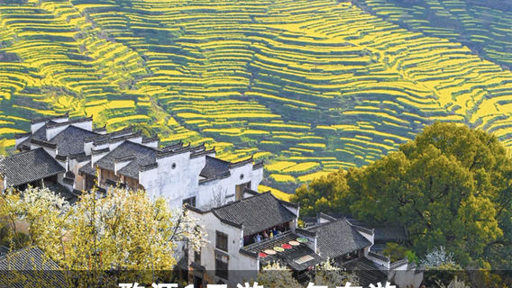 婺源日遊