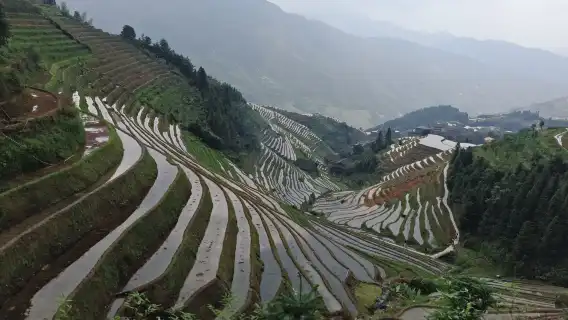 龍脊梯田一日私人健行之旅：從平安寨到舊壯寨