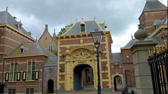1-hour Chinese/Mandarin guided tour of Mauritshuis Museum in The Hague, Netherlands