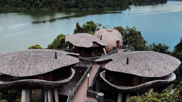 新加坡市區包車一日遊-打卡各種網紅景點-可多日包車