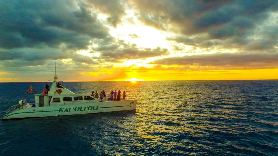 Oahu: Guided Dolphin Watching Sunset Cruise + Snorkeling + Hawaiian Buffet