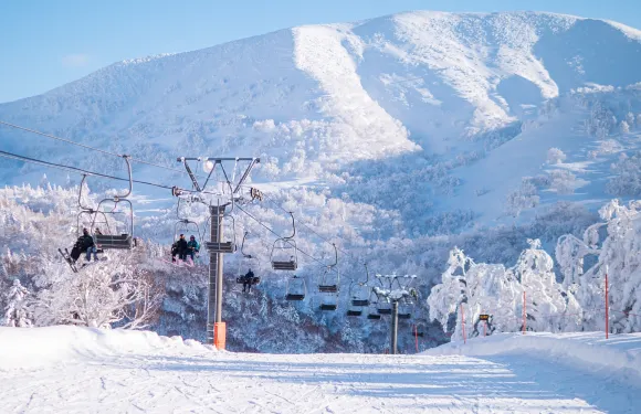 日本北海道函館七飯滑雪場接駁服務【中文司機/包車定制】