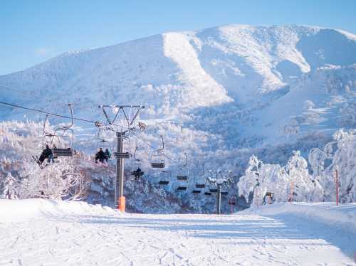 日本北海道旭川神居滑雪場接駁服務【中文司機/包車定制】