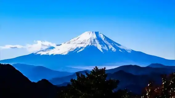 富士山玩雪體驗、箱根海賊船、御殿場奧特萊斯、日式烤肉自助餐