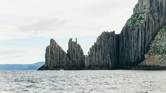 Da Port Arthur: crociera nella natura selvaggia dell'isola di Tasman
