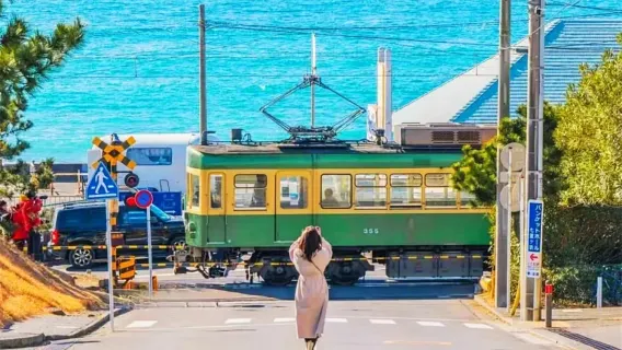 Slam Dunk Pilgrimage, Kamakura Ancient Capital one-day tour& Enoden Electric Railway Experience