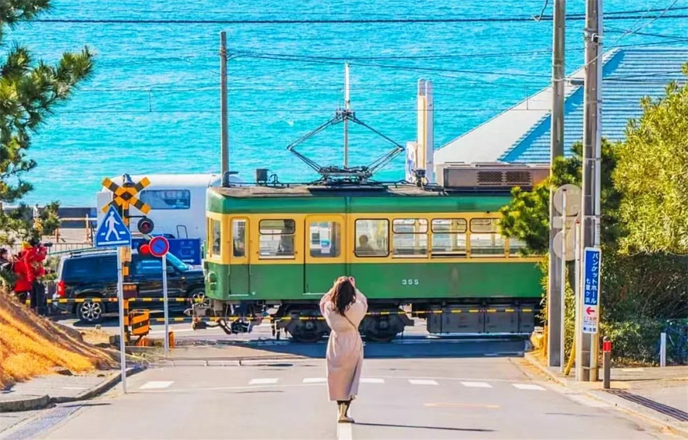 Slam Dunk Pilgrimage: Kamakura Ancient City Day Tour & Enoden Train Experience