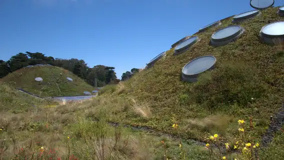 美國舊金山加州科學院一日遊