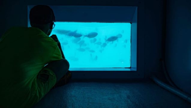 Santa Pola: Tabarca Catamaran Cruise with Underwater Vision