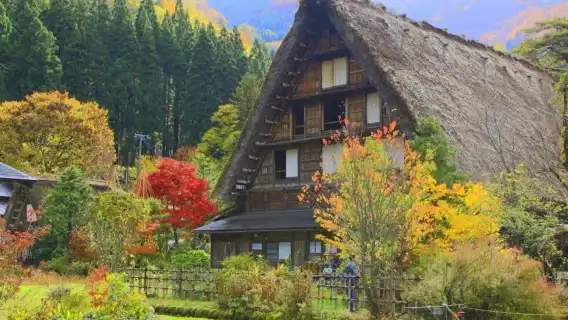 飛騨高山・白川郷+展望台|名古屋からの日帰り旅行