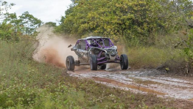 Leadville: Guided UTV Summer Tour