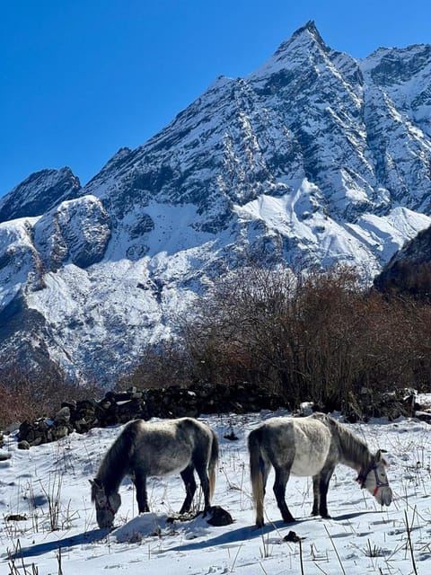Trekking di 15 giorni nel circuito del Manaslu - Sentiero più selvaggio dell'Himalaya