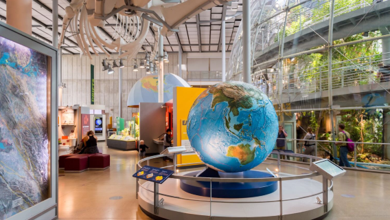 舊金山一日遊：雙峰+加州科學院+金門大橋+科伊特塔