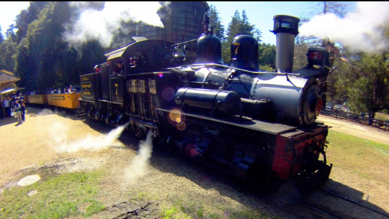 Tagesausflug mit der Dampfeisenbahn durch den Redwood Forest