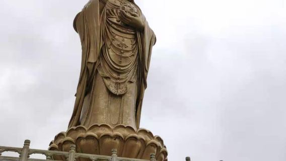 舟山普陀山風景區一日遊