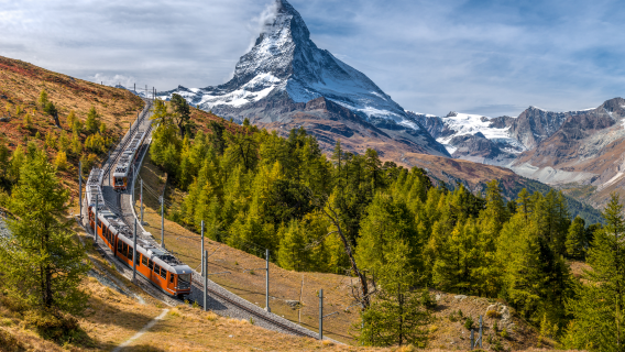 Swiss Half Fare Card [valid for 1 month/issued immediately/buy Swiss 90 City Fire Museum tickets at half price]