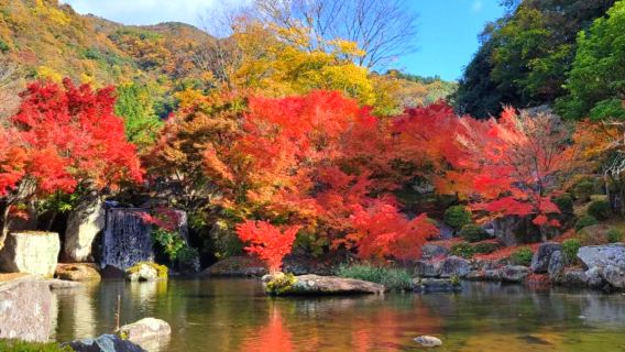 楓葉限定一目八景+溪石園+九醉溪桂茶屋+九重夢大吊橋一日遊