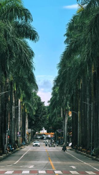Mangshi 1-day tour with English and Chinese service: Meng Huan Shwedagon Pagoda + Meng Ba Na Xi Garden + Near No.301 Provincial Road