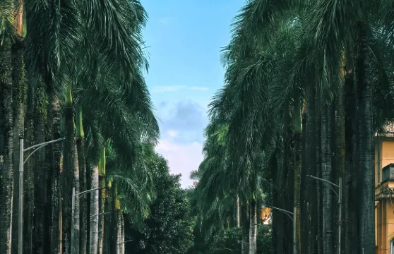 雲南芒市勐煥大金塔+勐巴娜西珍奇園+傣族古鎮一日遊中英文服務