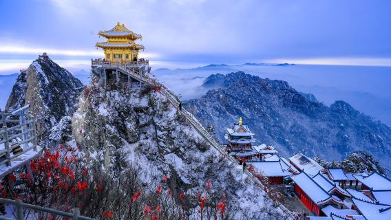 【含入場門票】河南洛陽老君山景區一日遊-全程高速-直達索道口L
