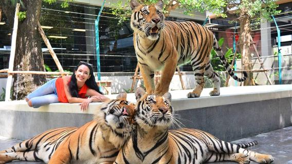 Thailand Bangkok round-trip Pattaya Floating Market + Tiger Park + live shooting + Walking Street 1-day tour