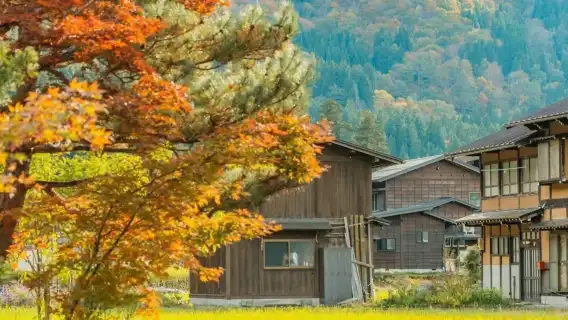 名古屋|白川郷+飛騨高山 日帰りツアー