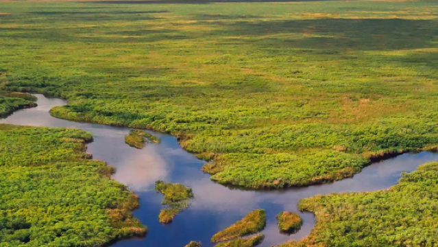 美國邁阿密大沼澤地包車一日遊｜中文服務｜靈活路線｜自由打卡