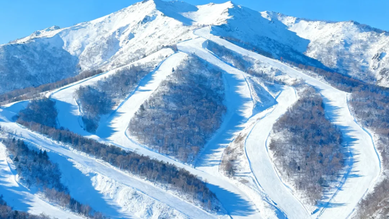 Yabuli Ski Resort West Station Transfer Private Tour | Horse-Drawn Sleigh · Skiing · Mountain Viewing