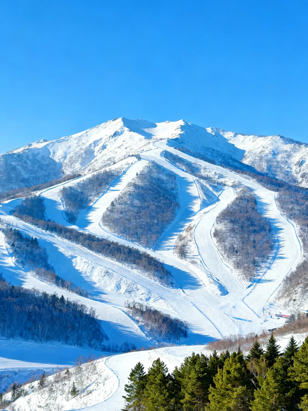 ヤブリスキーリゾート西駅送迎プライベートツアー｜馬そり・スキー・雪山観光