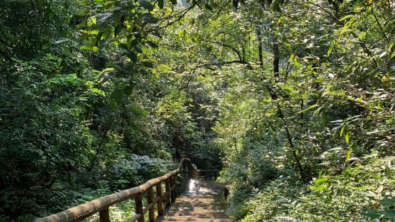 tour 1 ngày dịch vụ tiếng Anh tại Bảo tàng Ôn Châu Hồ Nam + Công viên Bắc Hồ + Núi Tô Tiên + Trường Quyển + Núi Vương Tiên